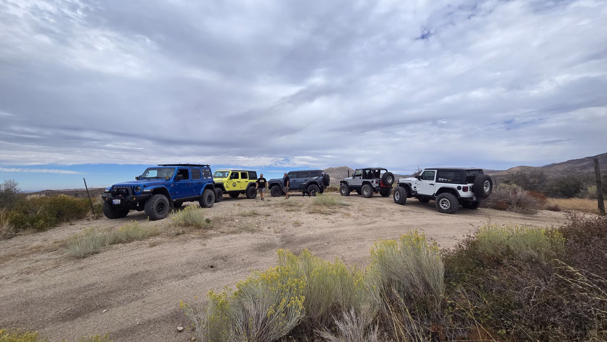 Taking the Rough Out of the Black Diamonds